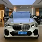 BMW X5 (Import) 2020 265 л.с. — лот 57776753 из Китая