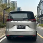 大通 G50 2019 из Китая