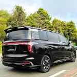 Hongqi Hongqi HQ9 2023 252 л.с. 252 л.с. из Китая