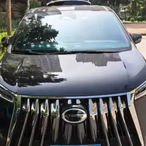 GAC Motor Trumpchi M8 2024 252 л.с. 252 л.с. 252 л.с. 252 л.с. из Китая