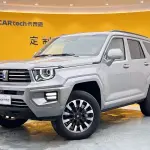 Tank Tank 700 New Energy 2024 из Китая