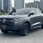 Great Wall Pao 2024 из Китая