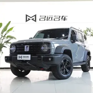 Tank Tank 300 2023 из Китая