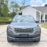 Skoda Kodiaq 2018 из Китая