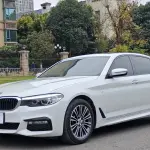BMW 5 Series 2018 252 л.с. — лот 57792029 из Китая