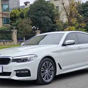 BMW 5 Series 2018 252 л.с. — лот 57792029 из Китая