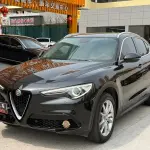Alfa Romeo Stelvio 2019 200 л.с. 200 л.с. 200 л.с. из Китая