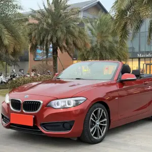 BMW 2 Series (Import) 2018 136 л.с. — лот 57801907 из Китая