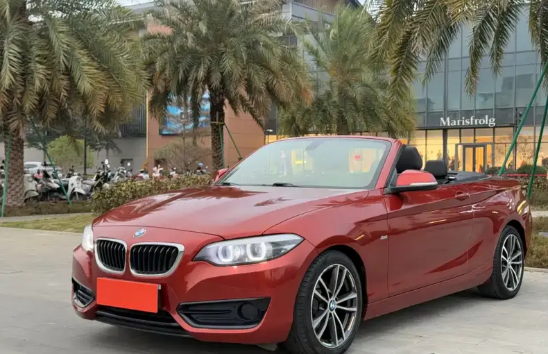BMW 2 Series (Import) 2018 из Китая