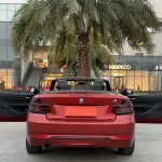 BMW 2 Series (Import) 2018 136 л.с. — лот 57801907 из Китая