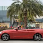 BMW 2 Series (Import) 2018 136 л.с. — лот 57801907 из Китая