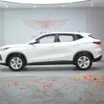 Oshan Oushang X5 2021 из Китая
