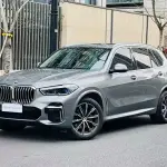 BMW X5 2022 245 л.с. — лот 57796683 из Китая