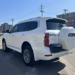 Tank Tank 500 New Energy 2025 из Китая
