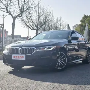 BMW 5 Series (Import) 2021 184 л.с. из Китая