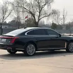 Hongqi Hongqi H9 2021 из Китая