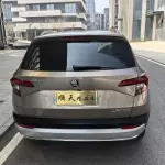 Skoda Karoq 2019 из Китая