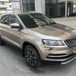 Skoda Karoq 2019 из Китая