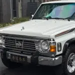 Nissan Patrol 2004 лот 57809887 из Китая