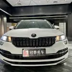 Skoda Karoq 2024 из Китая