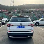 Skoda Kodiaq 2017 из Китая
