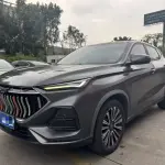 Oshan Oushang X5 2021 180 л.с. — лот 57816332 из Китая