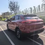 WM Motor EX5 2019 из Китая