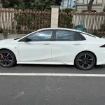GAC Motor Shadow Leopard 2023 265 л.с. 265 л.с. из Китая