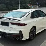 GAC Motor Shadow Leopard 2023 265 л.с. 265 л.с. из Китая