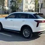 Venucia Star 2022 из Китая