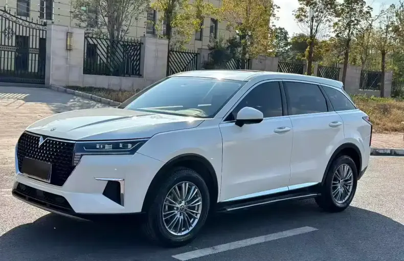 Venucia Star 2022 из Китая