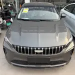 Geely Binrui 2026 из Китая