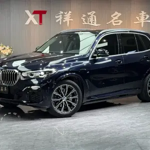 BMW X5 (Import) 2021 265 л.с. — лот 57829489 из Китая