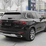 BMW X5 (Import) 2021 265 л.с. 265 л.с. 265 л.с. 265 л.с. 265 л.с. 265 л.с. из Китая