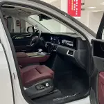 Hongqi Hongqi E-HS9 2023 лот 57830767 из Китая