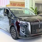 Hongqi Hongqi HQ9 PHEV 2024 408 л.с. — лот 57824704 из Китая