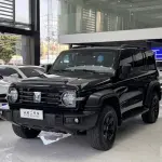Tank Tank 300 2024 из Китая