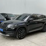 Skoda Kodiaq 2018 из Китая