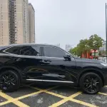 Haval H6 2022 211 л.с. 211 л.с. 211 л.с. из Китая