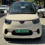 FERRAL EV 2022 из Китая