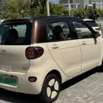 FERRAL EV 2022 из Китая