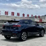 Wey Wey VV7 2021 из Китая