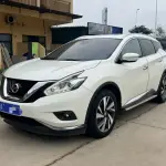 Nissan Murano 2016 245 л.с. из Китая