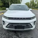 Exeed Zhaofeng C-DM 2023 из Китая