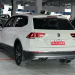 Volkswagen Tiguan L 2019 из Китая