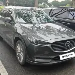 Mazda CX-8 2019 из Китая