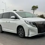 GAC Motor Trumpchi M8 2022 из Китая