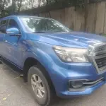 Dongfeng Rich 2019 из Китая