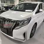 GAC Motor Trumpchi M8 2022 из Китая