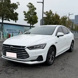 BYD Qin Pro 2019 из Китая